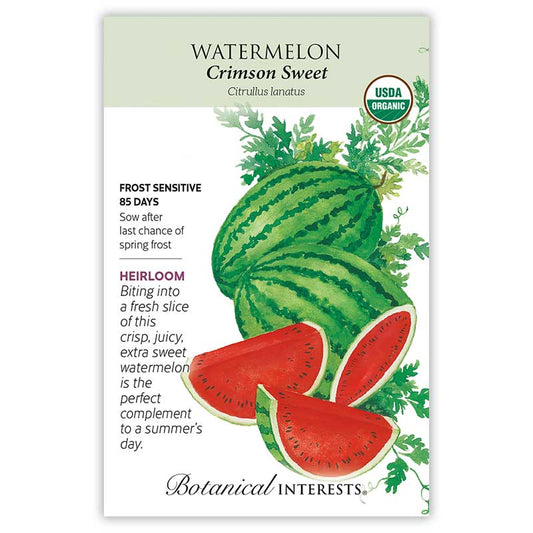 Watermelon seeds 'Crimson Sweet'