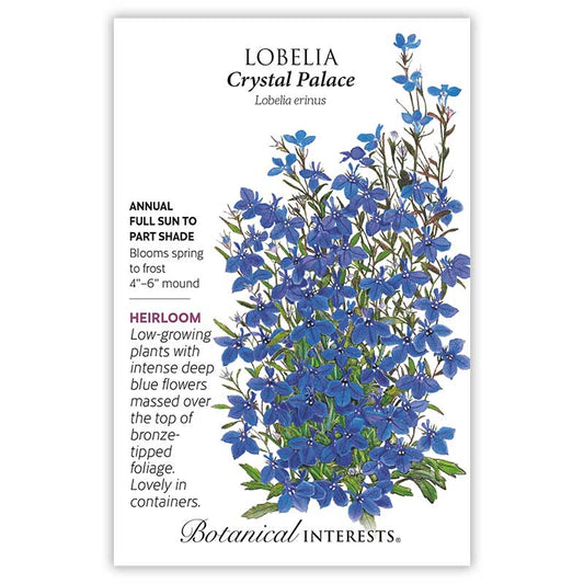 Crystal Palace Lobelia
