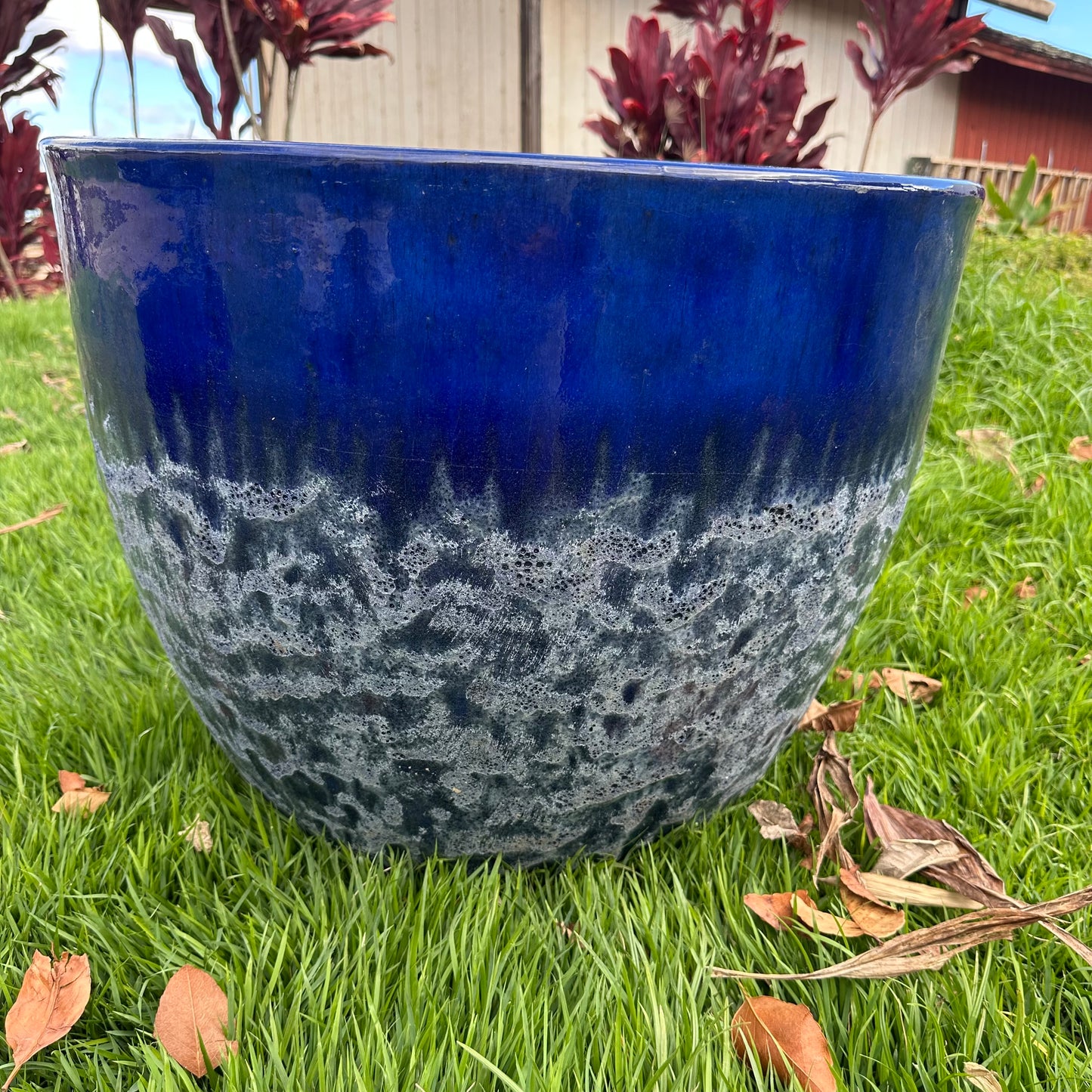 Blue Coral Ceramic Planter