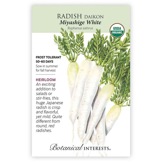 Radish seeds 'Daikon White'
