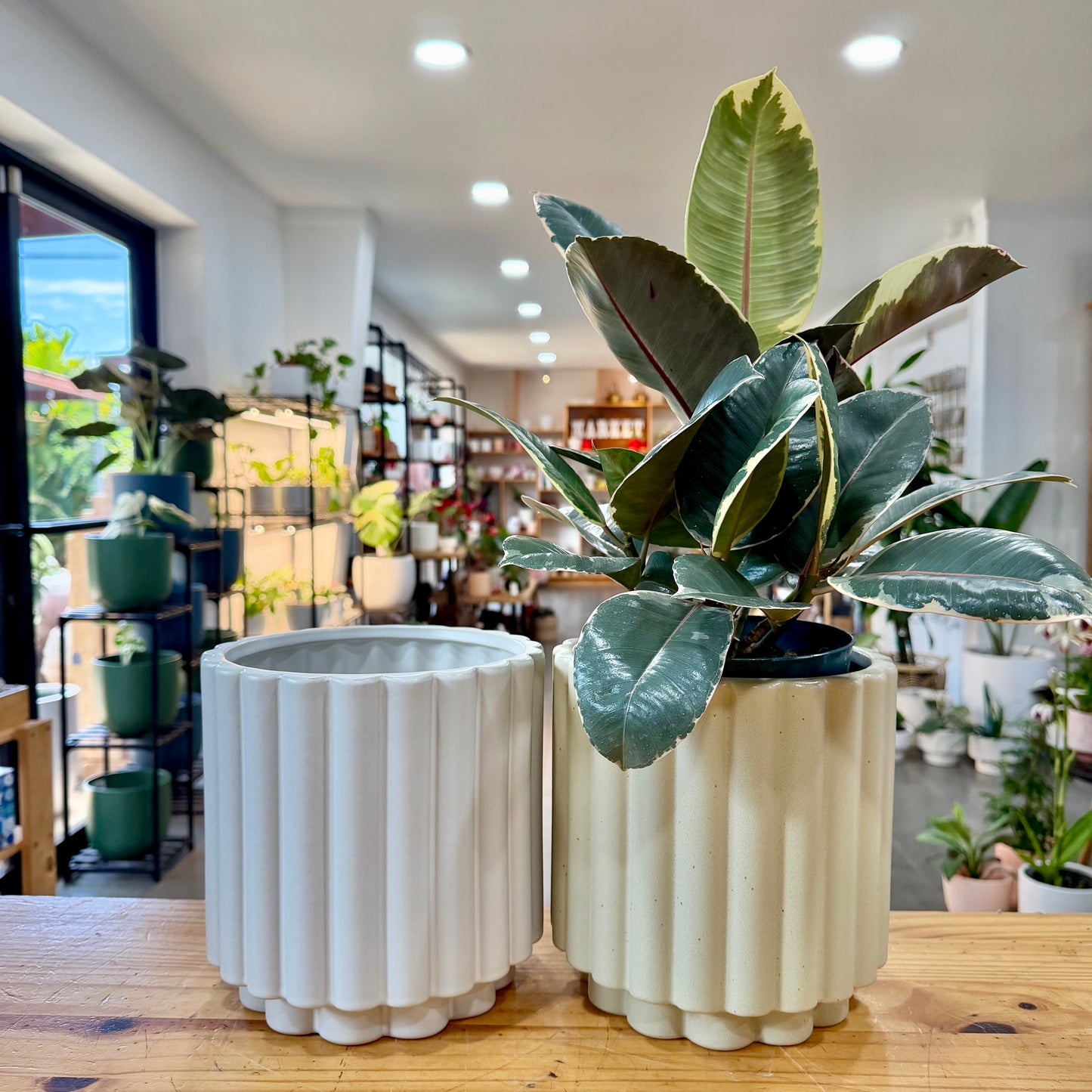 Daviston Planter