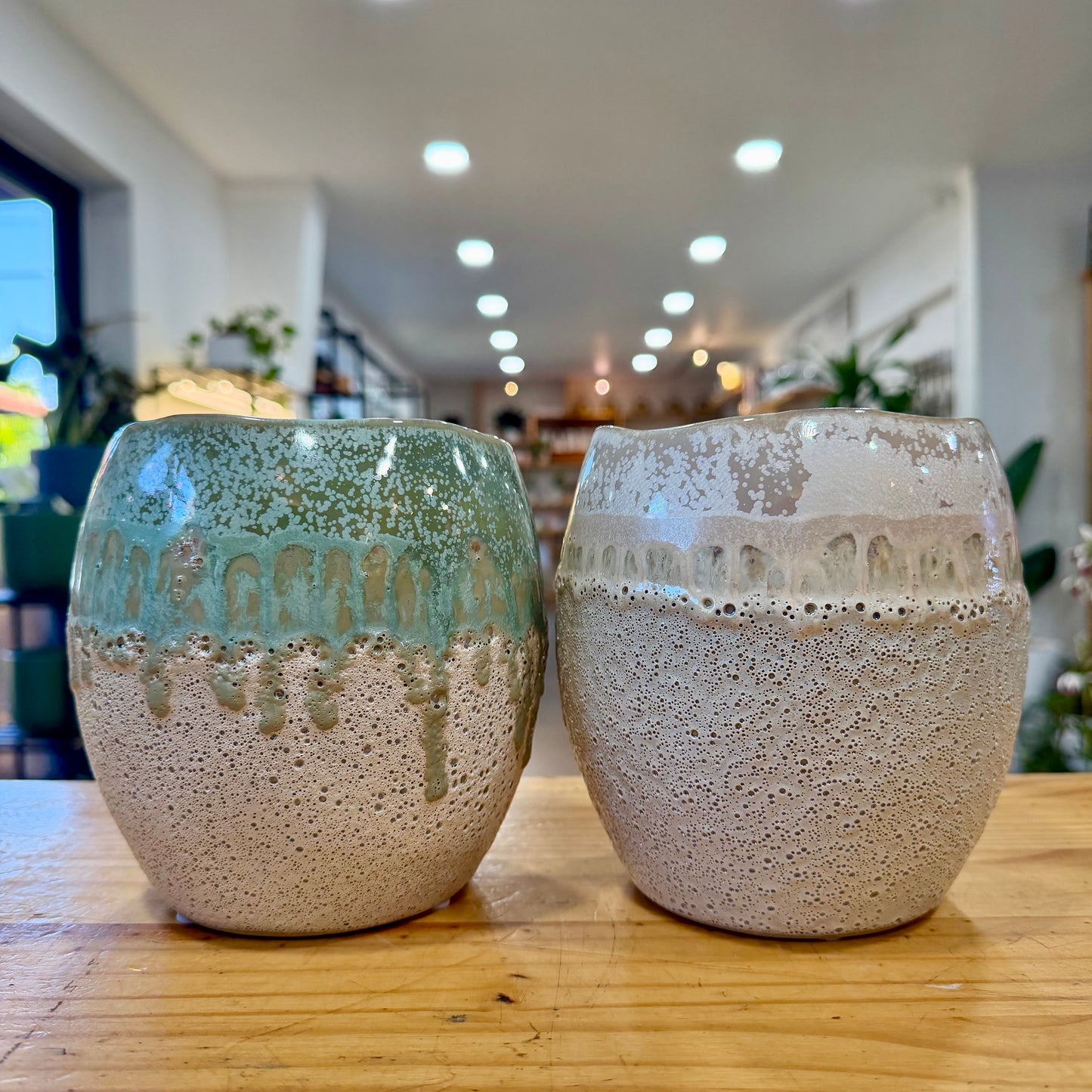 6" Debra Planter