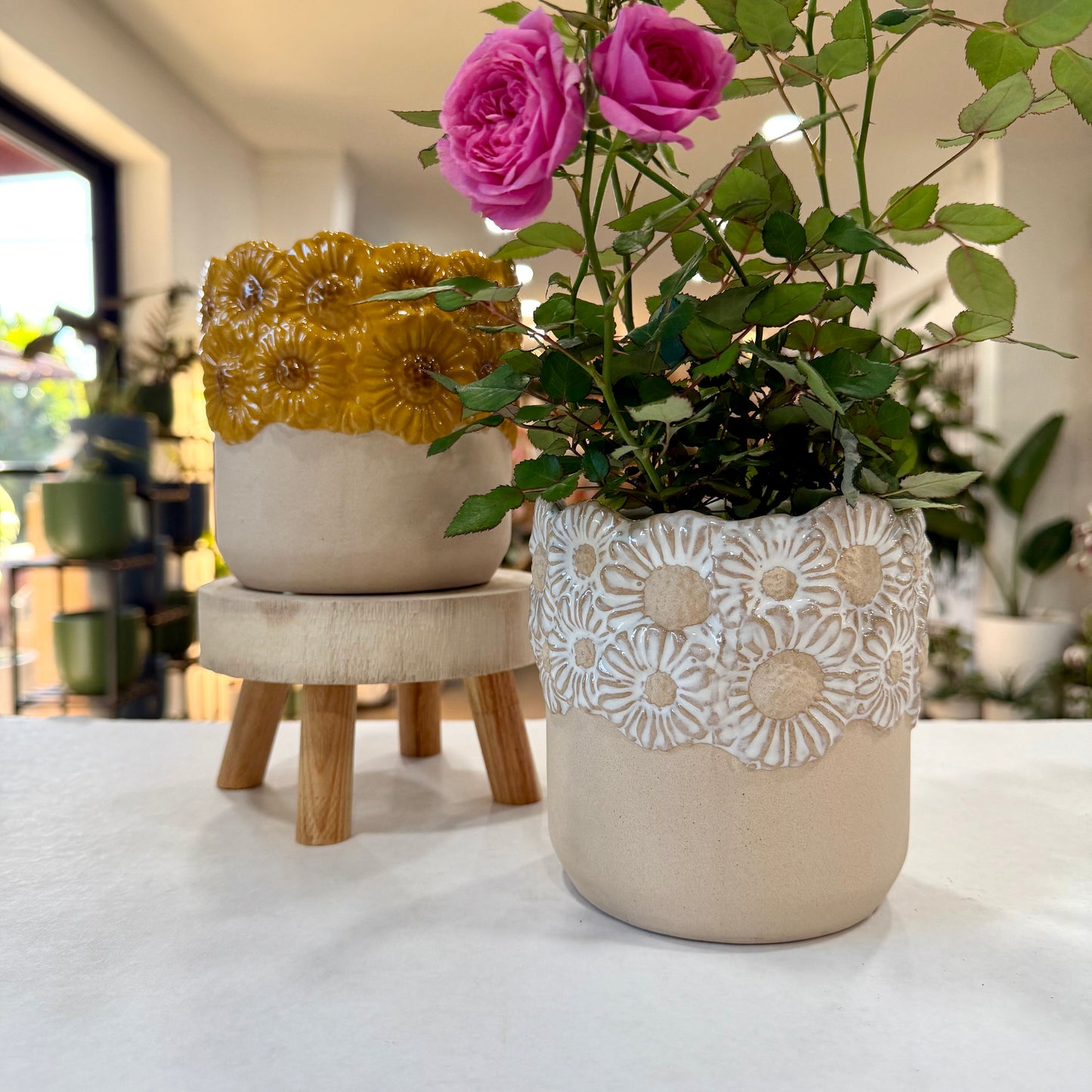 Delightful Planter