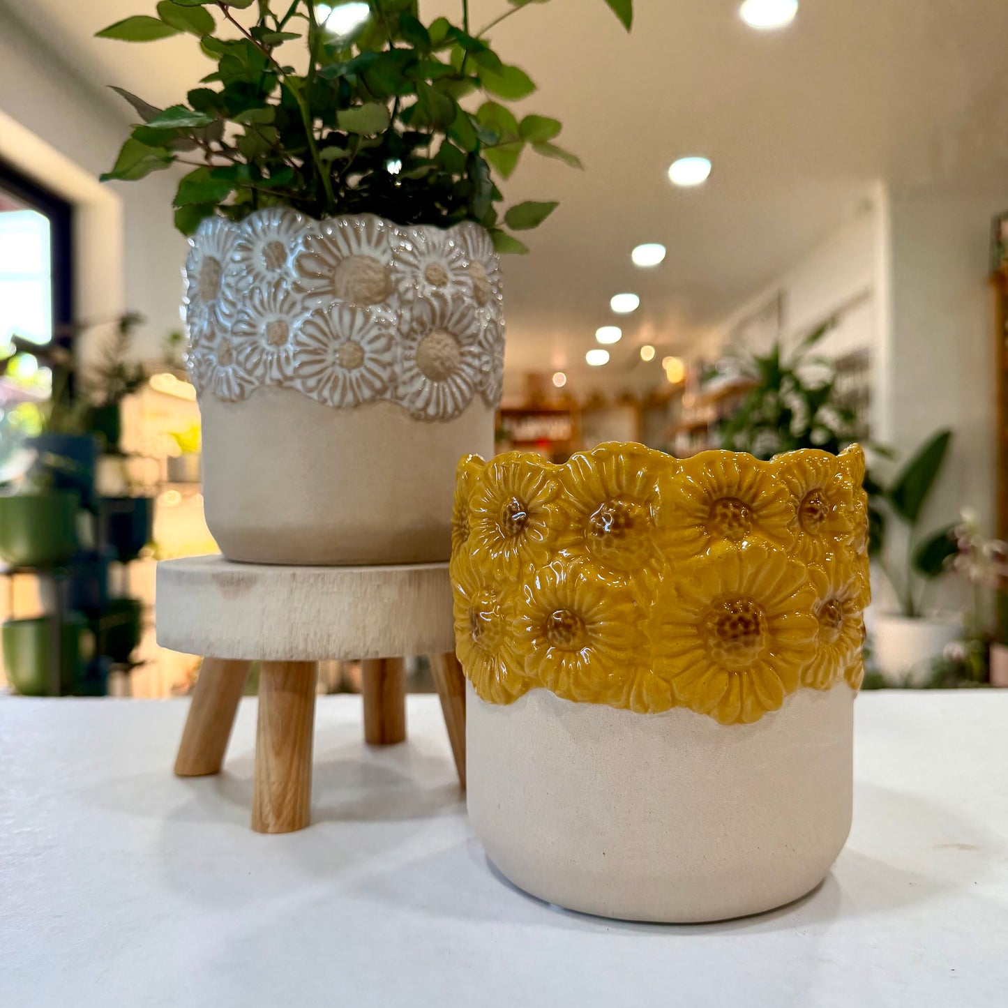 Delightful Planter