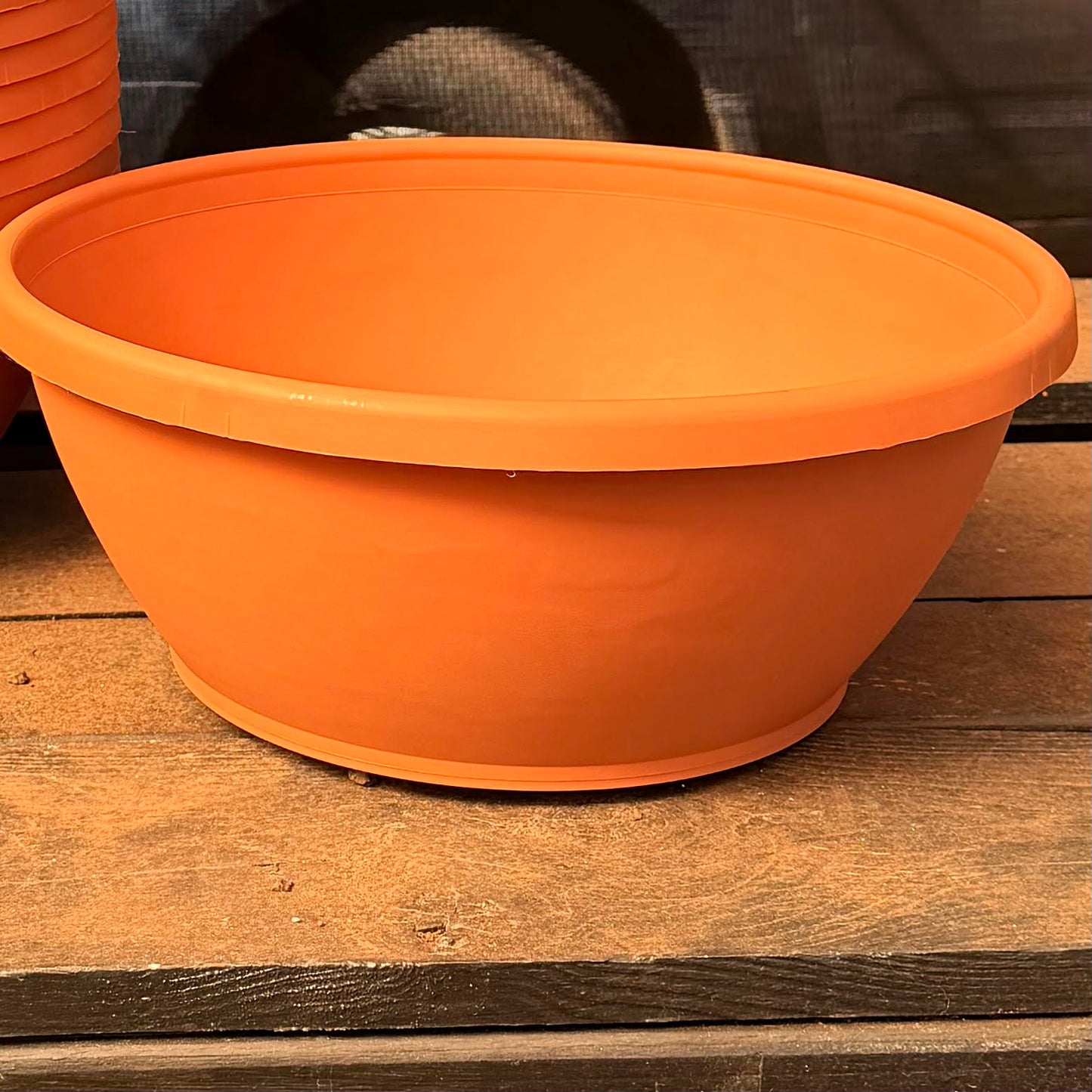 Dillen Bowl Planter