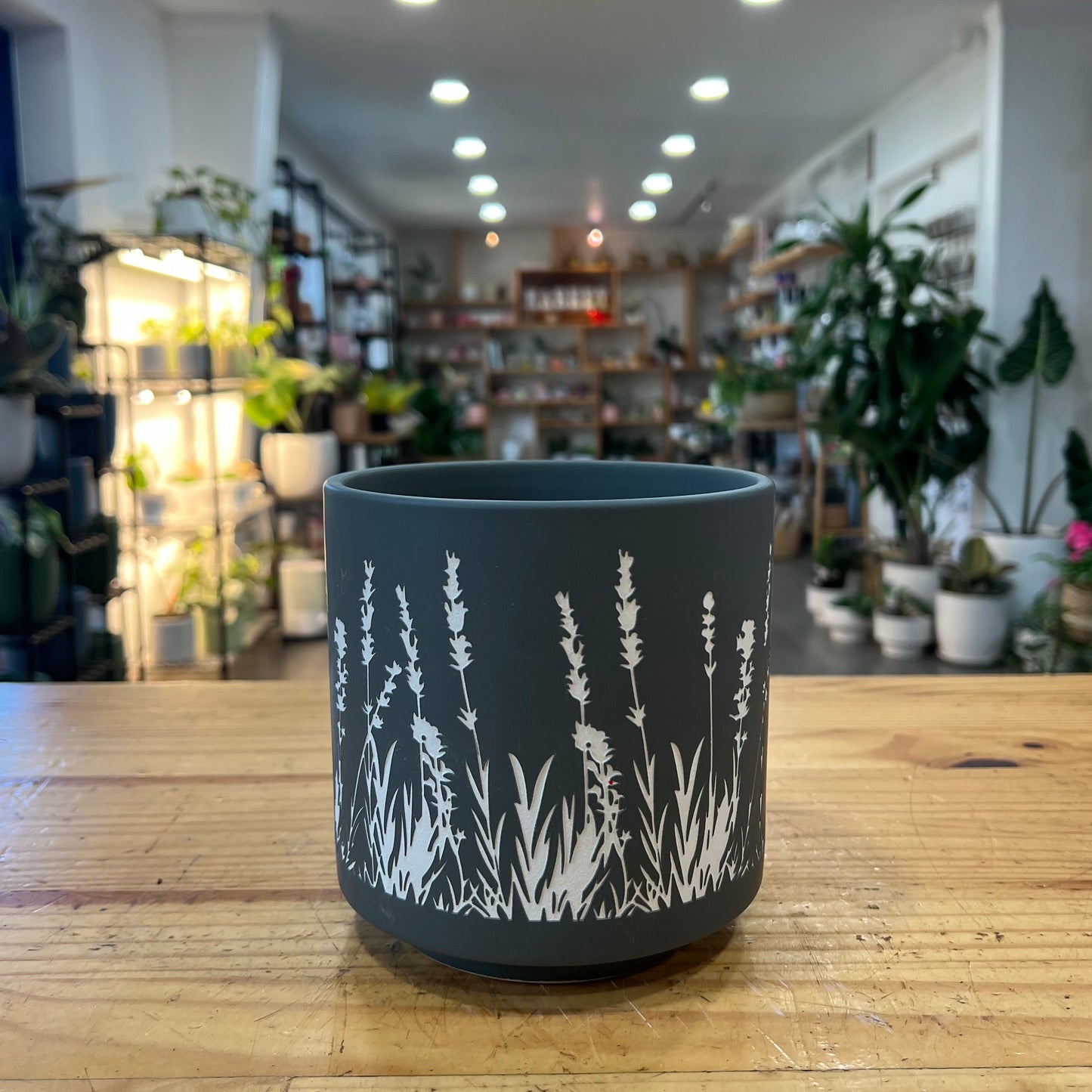 Ditzy Pattern Planter
