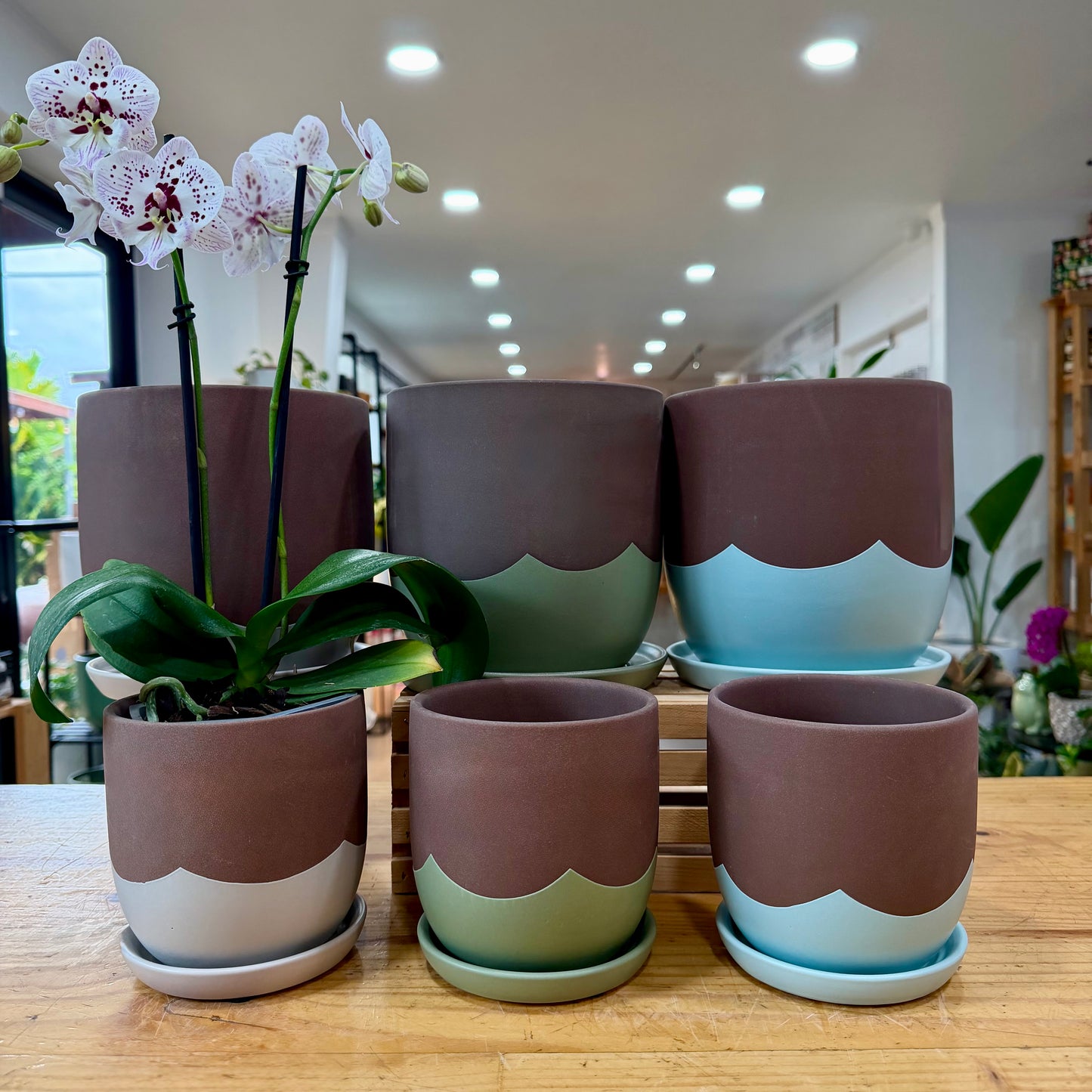 Drip Planter