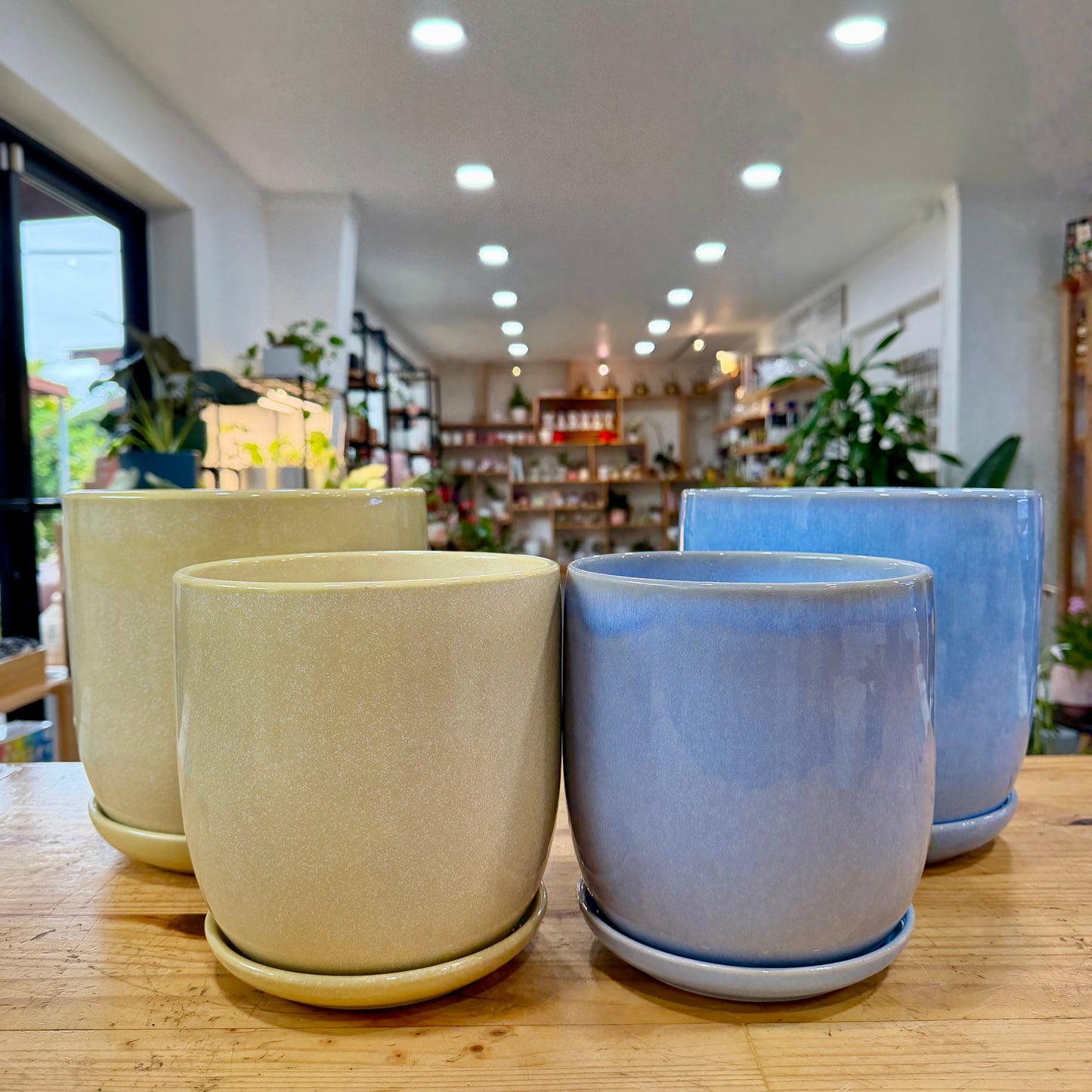 Dryden Planter