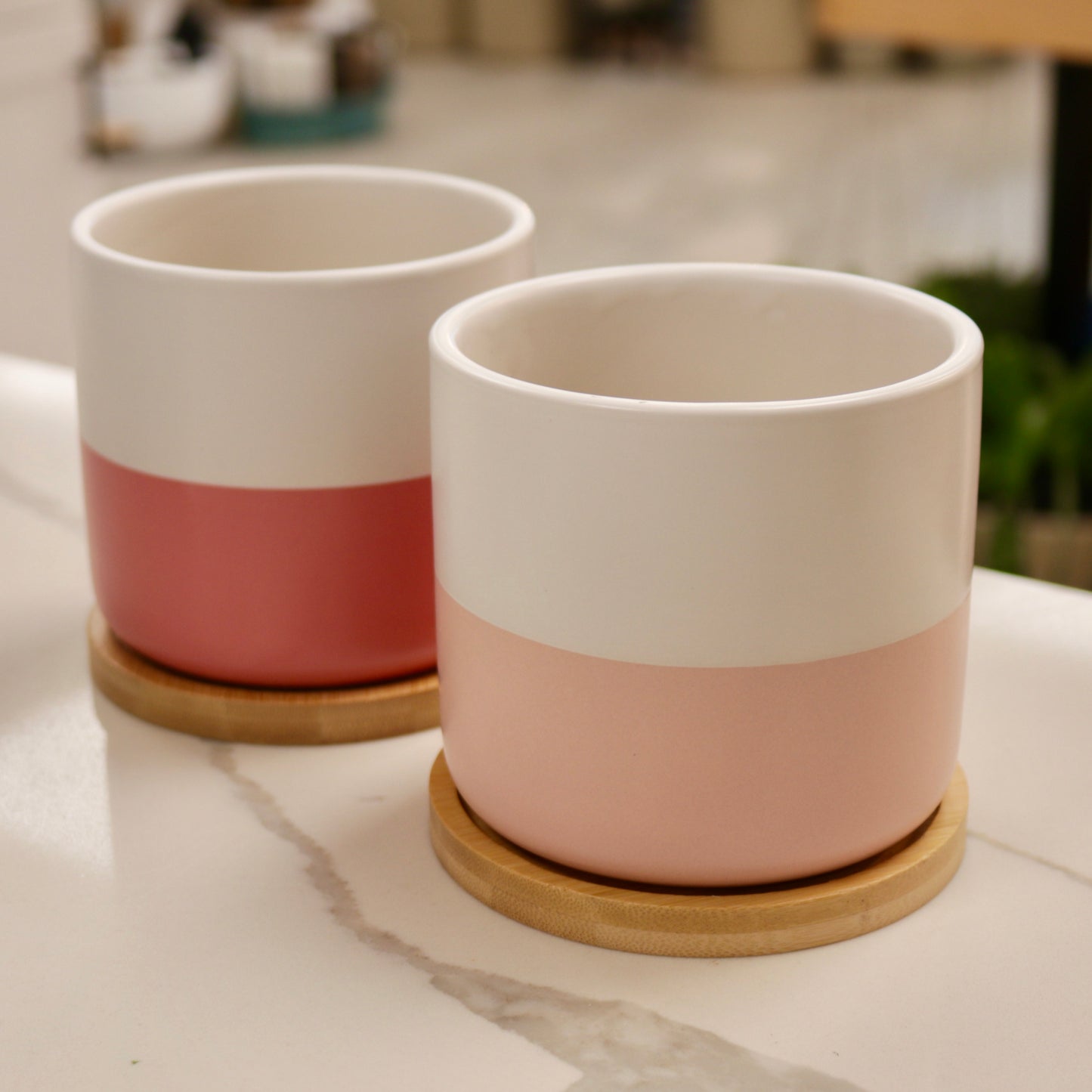 Cylindrical Ceramic Planter with Saucer