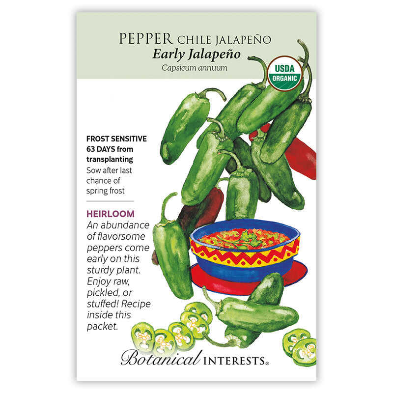 Pepper Chile seeds 'Jalapeno Early'