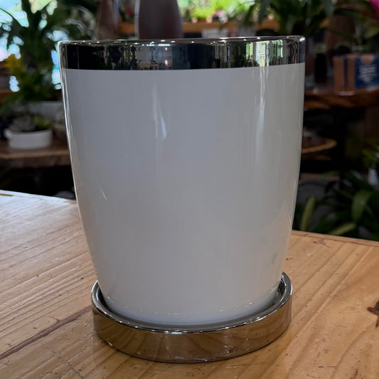 Egg Cosmo Planter