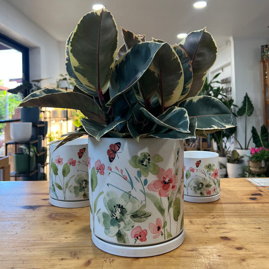 Eleanor Planter