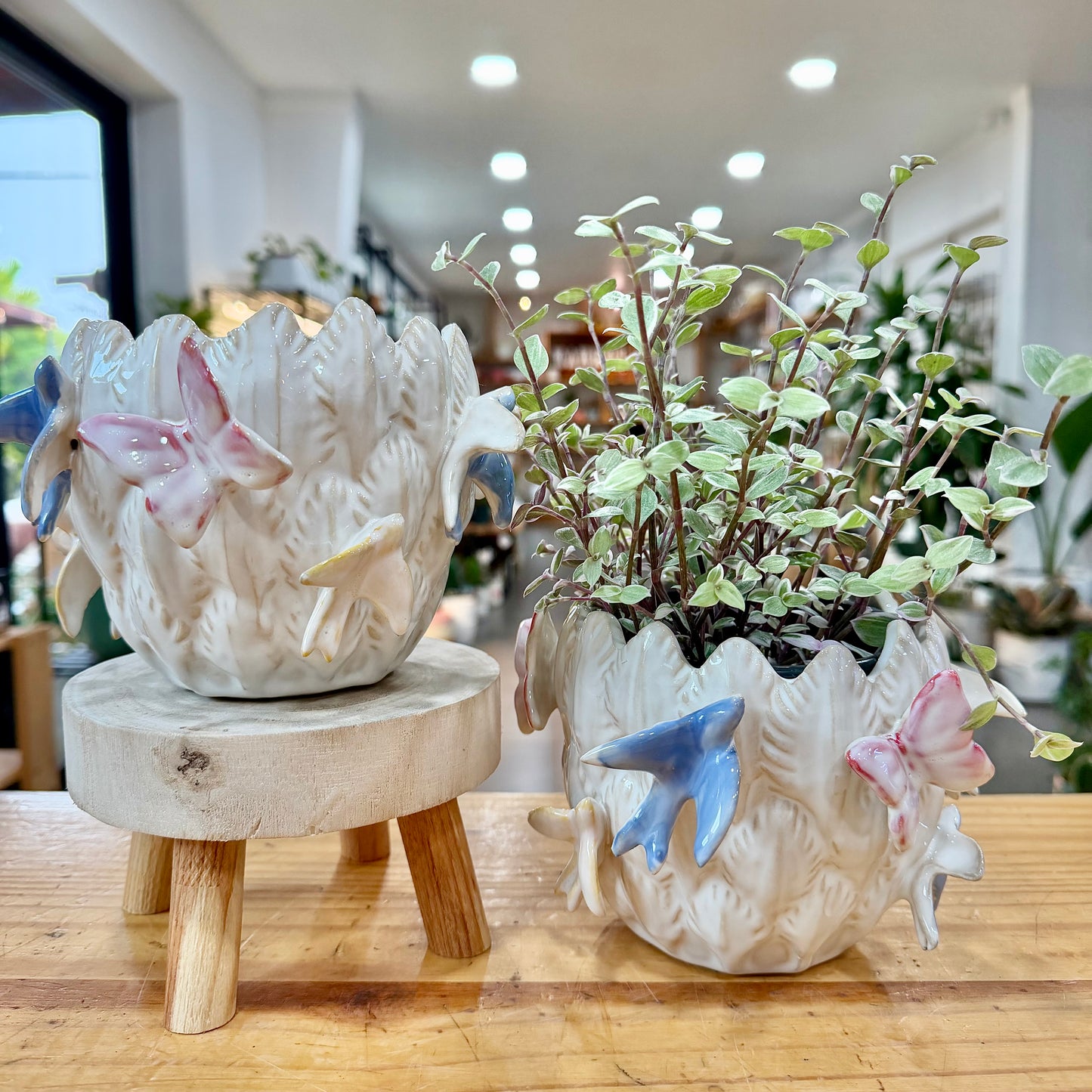 Ember Planter
