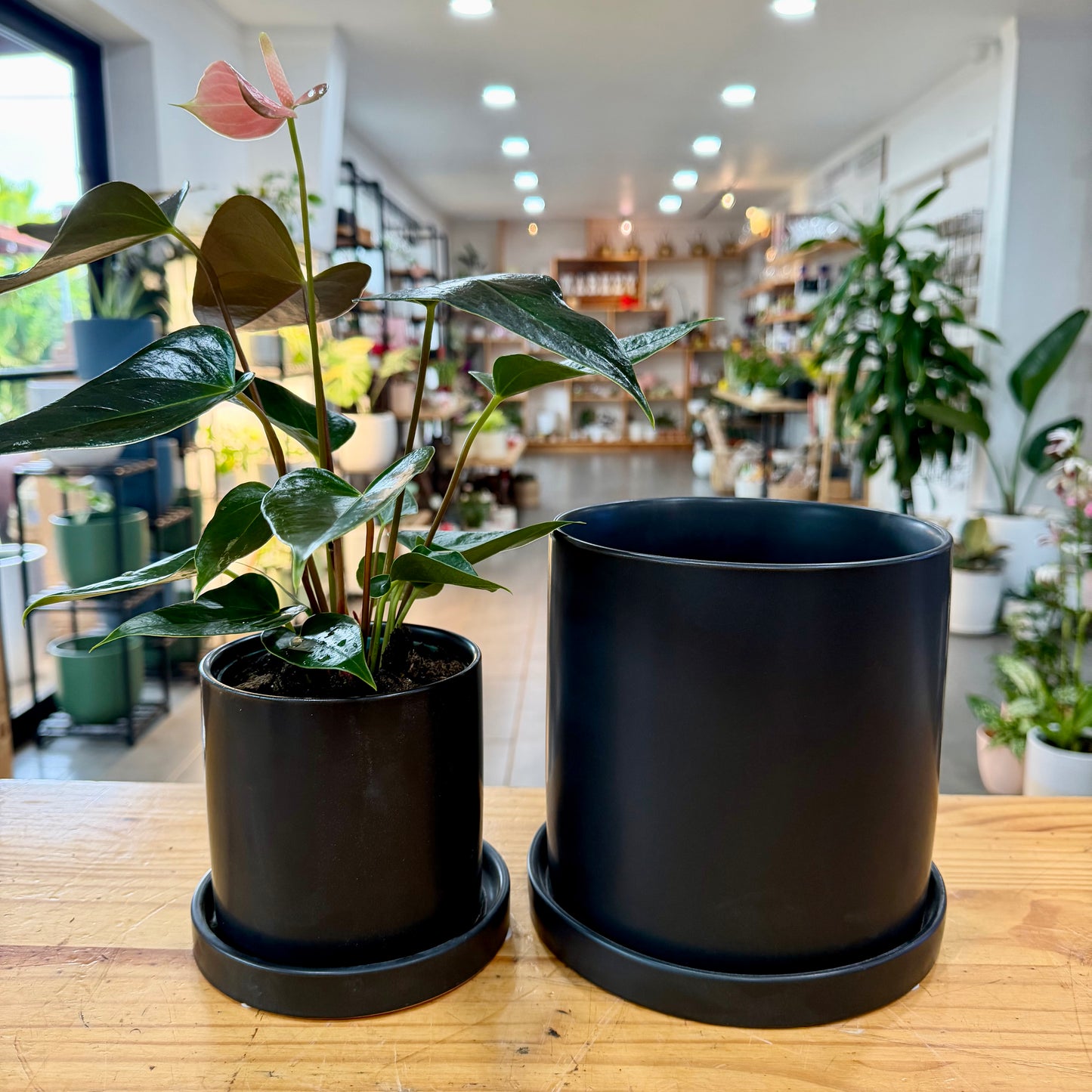 Exeter Planter