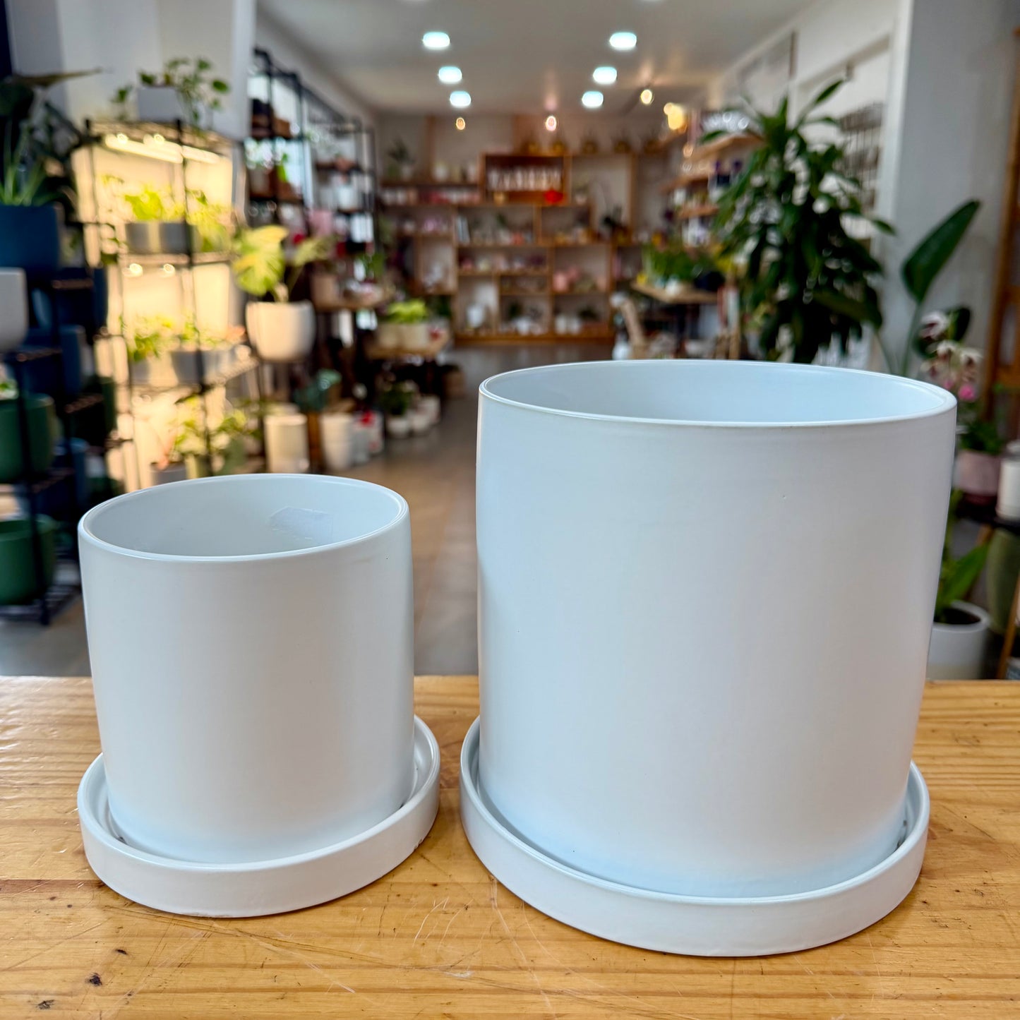 Exeter Planter