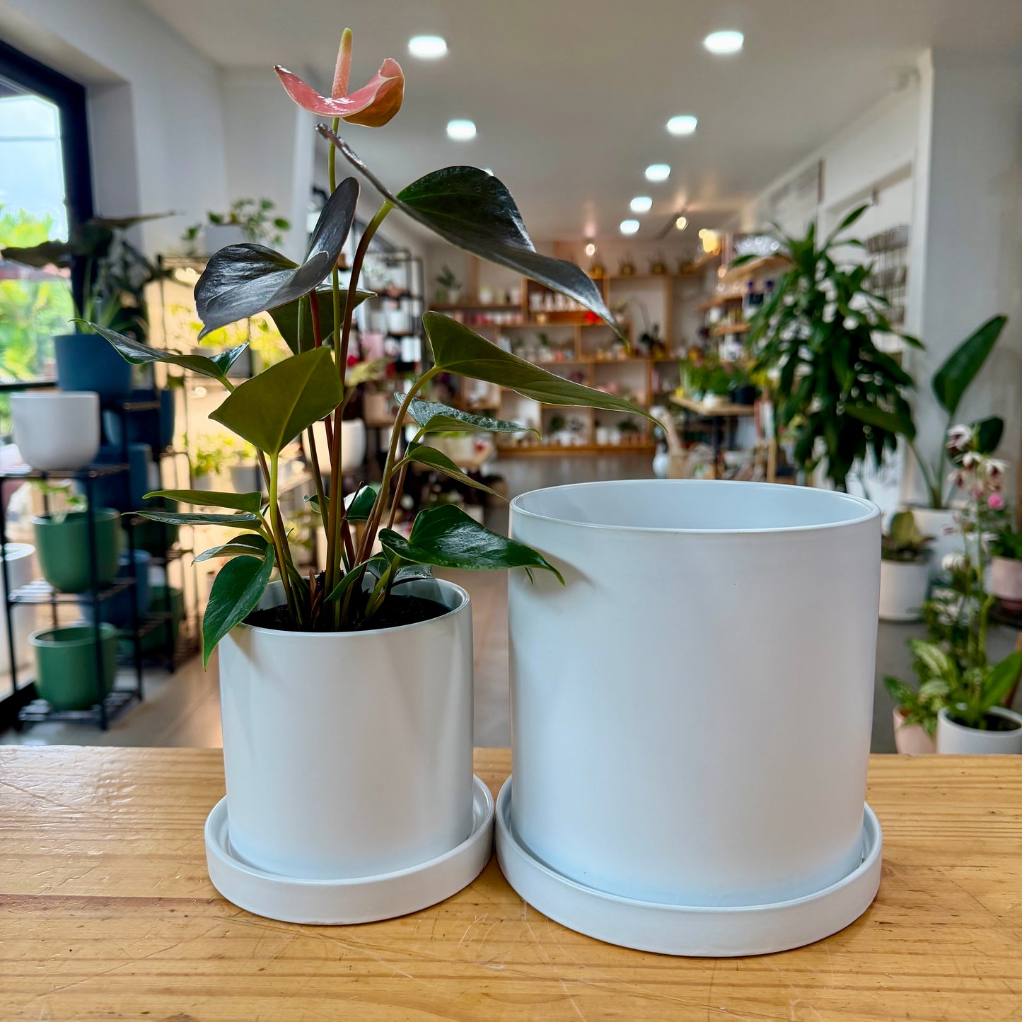 Exeter Planter