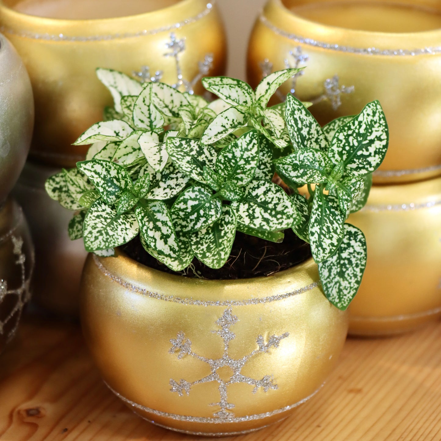 Christmas Ornament Planter