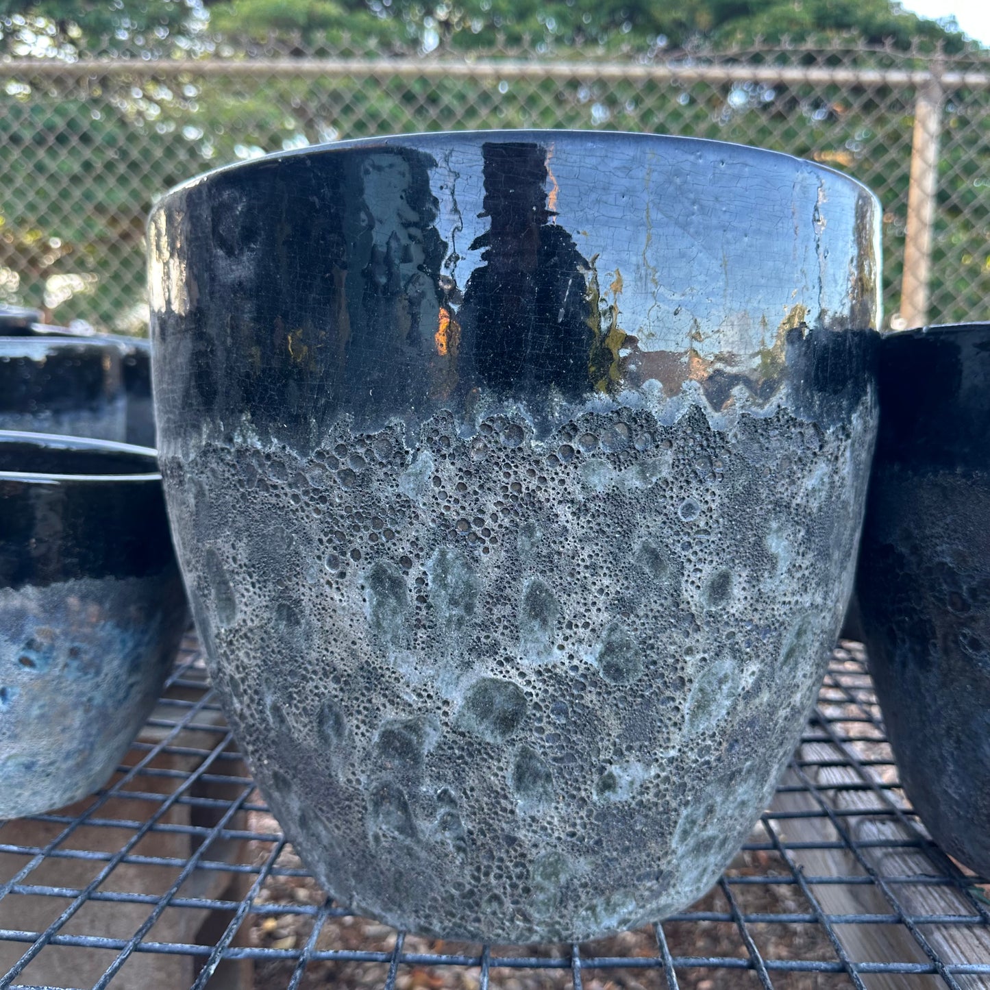 Black Coral Ceramic Planter