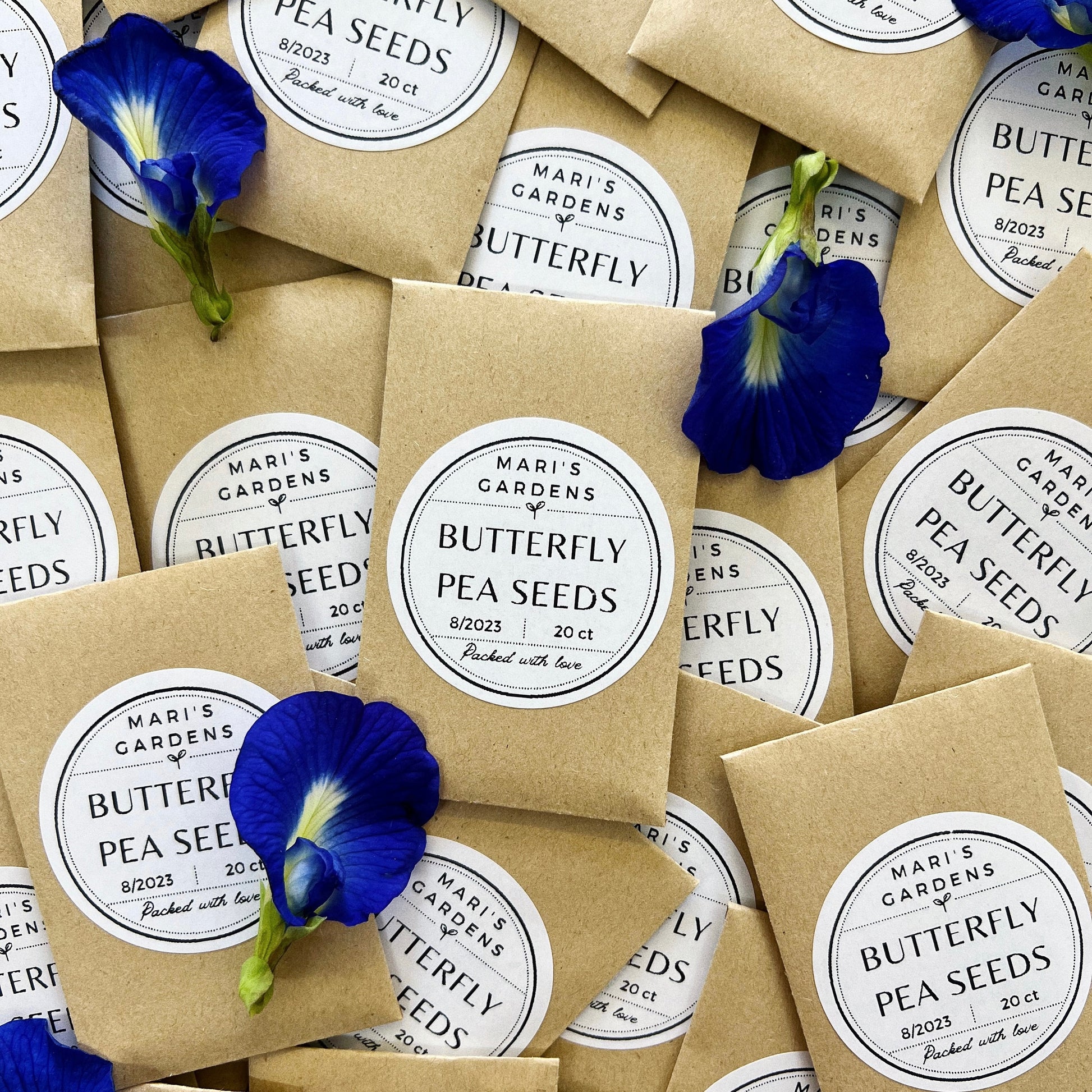 butterfly pea flower seeds Butterfly Pea Seeds