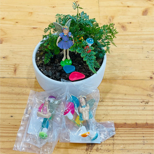 Fairy Garden Starter Set