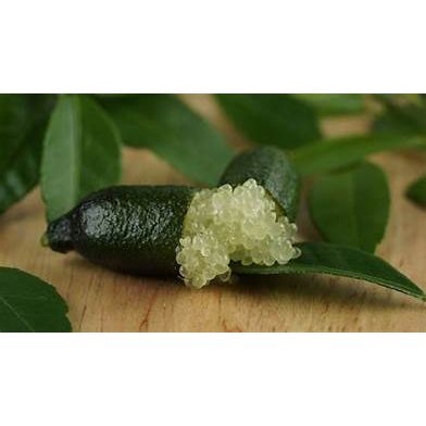 Finger Limes by the Pound