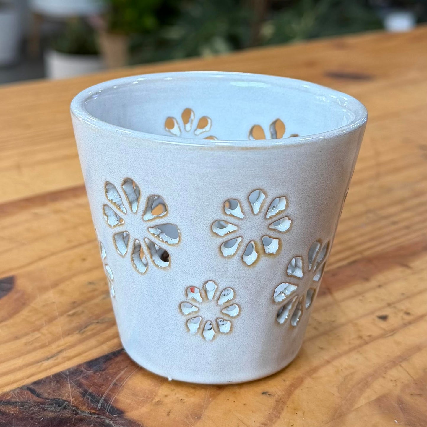 Orchid Planter Pots