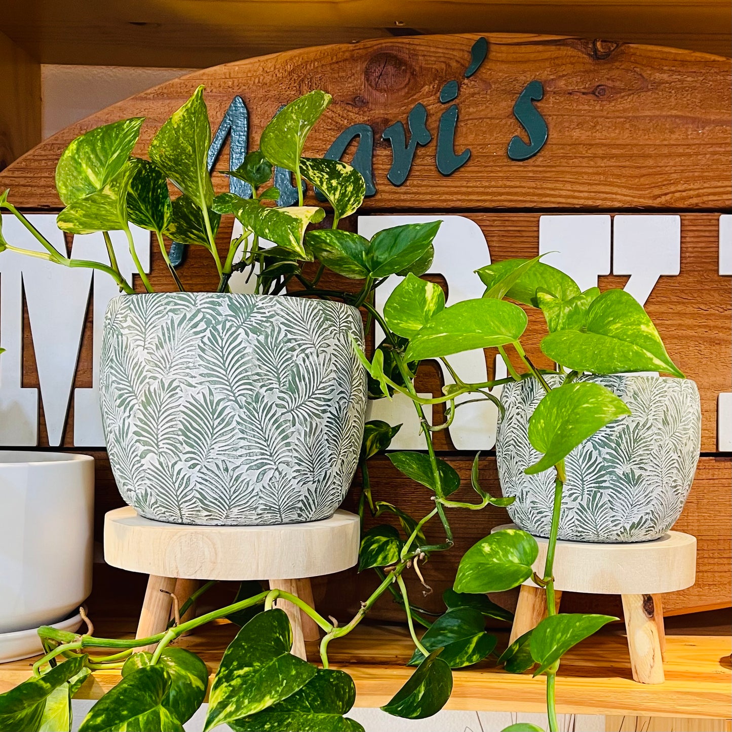 Wooden Plant Stands