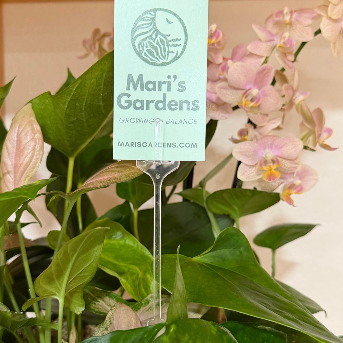 Floral Picks Card Holder