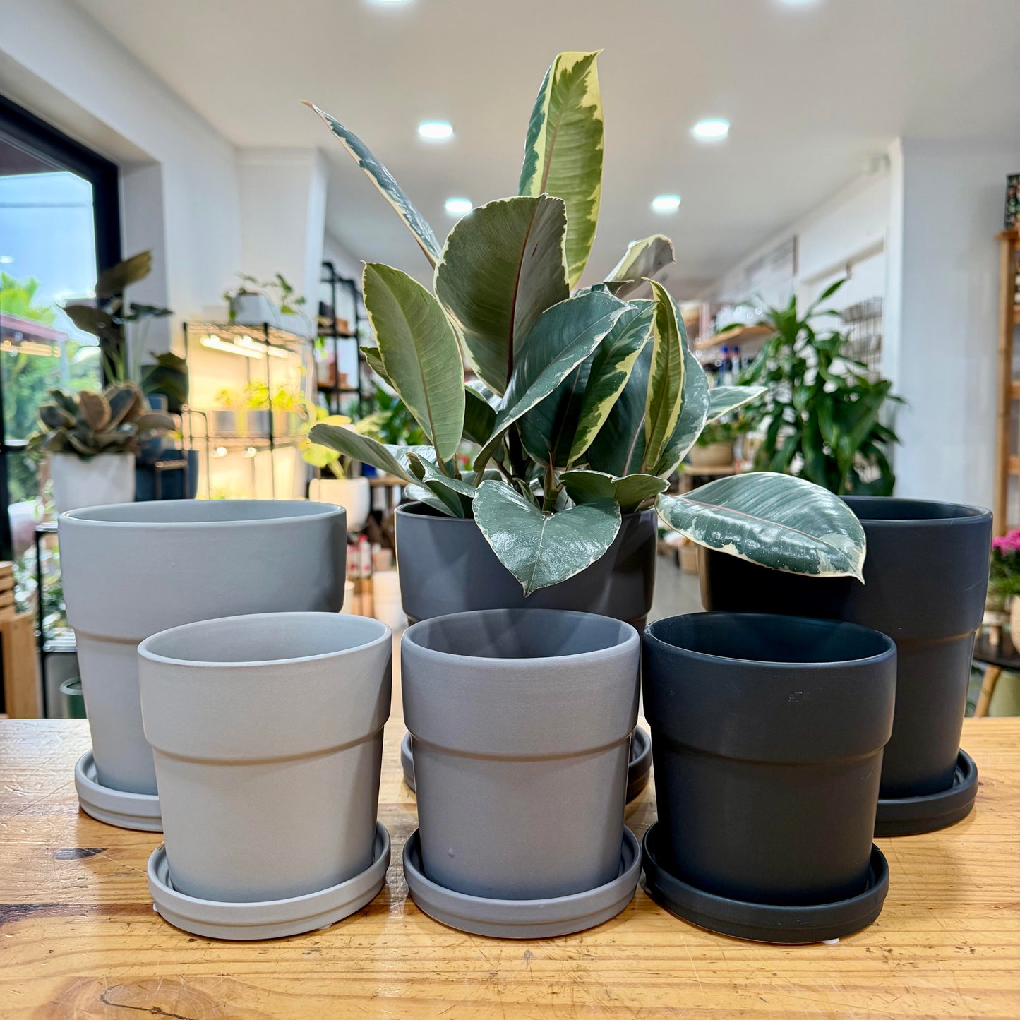 Floral Pot