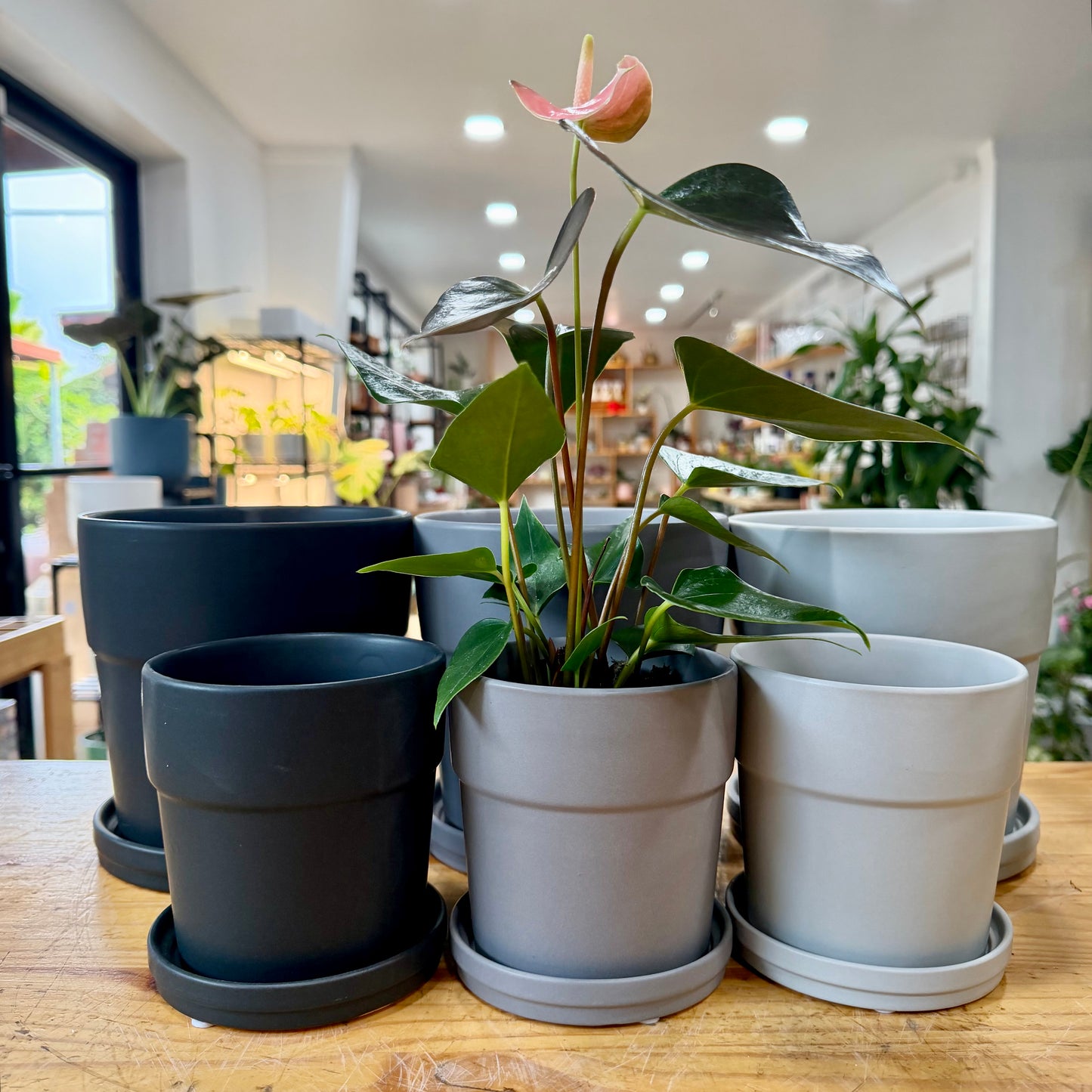 Floral Pot