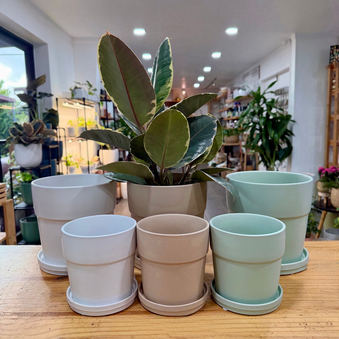 Floral Pot