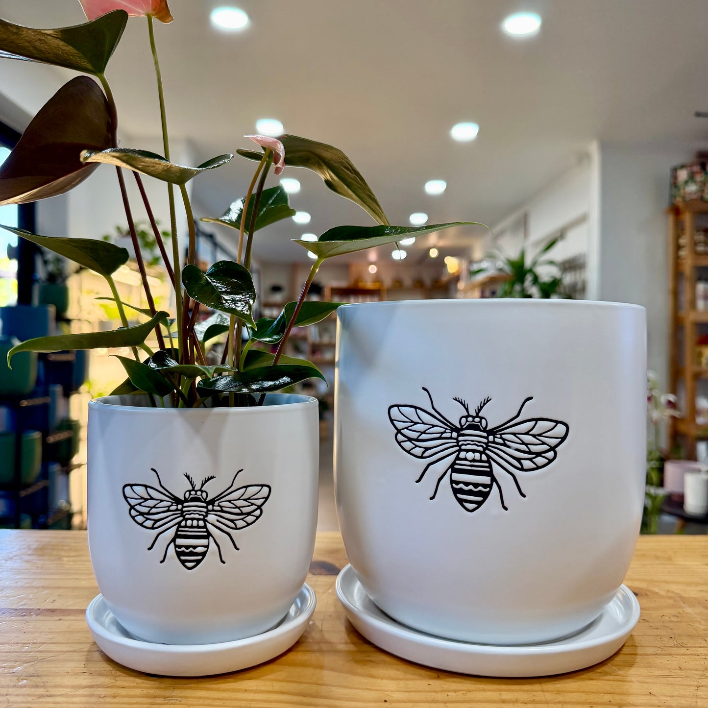 Flutter Planter