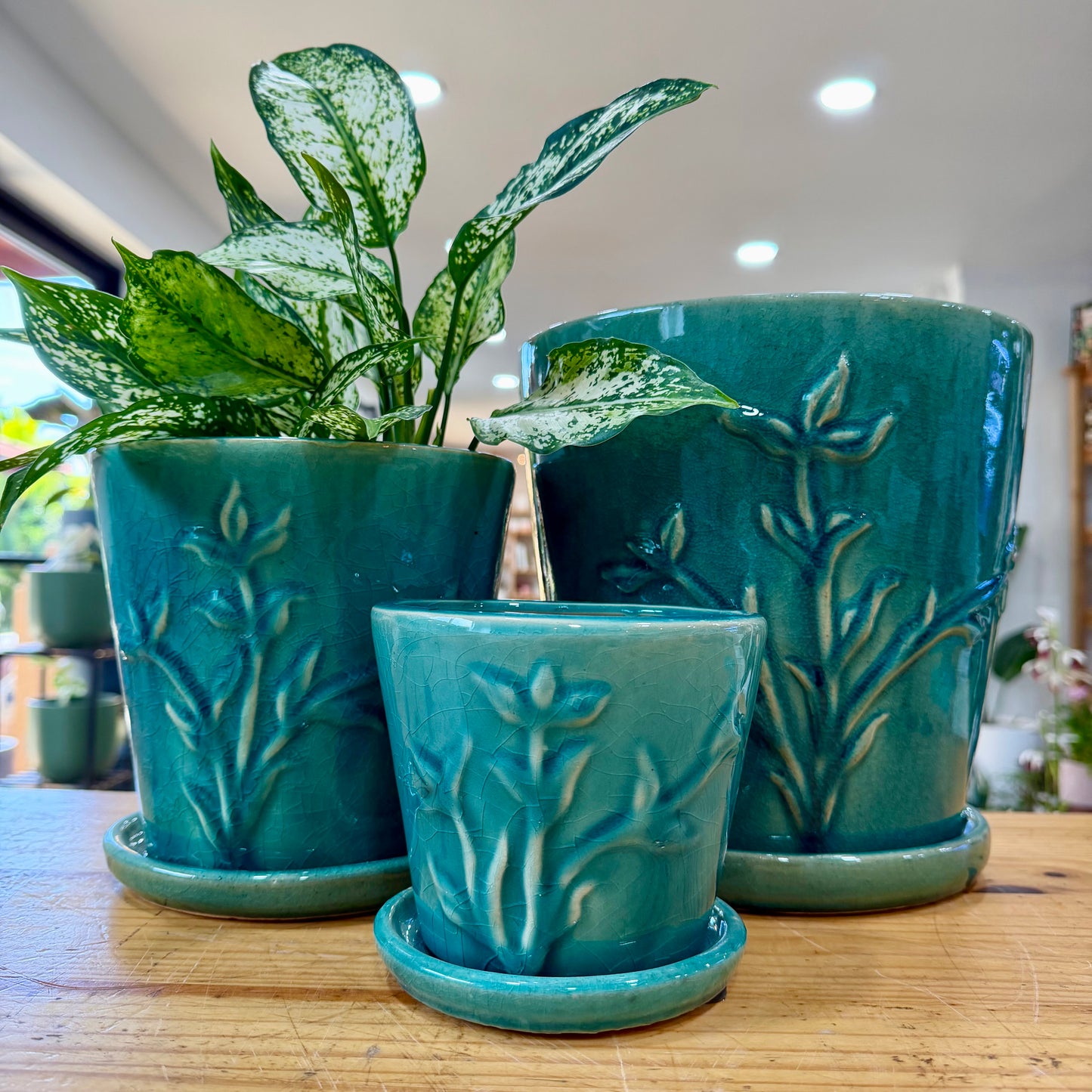 Francis Planter
