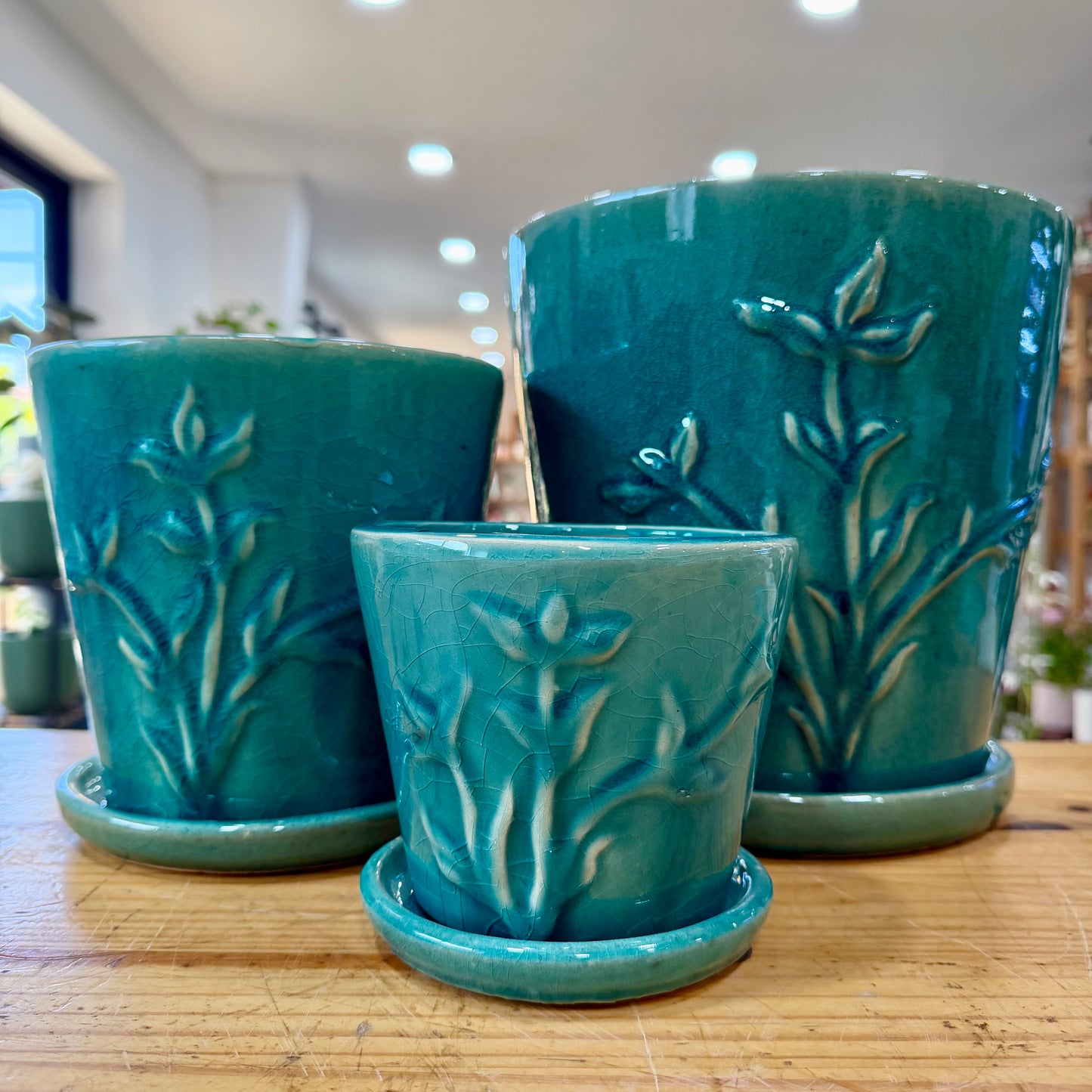 Francis Planter