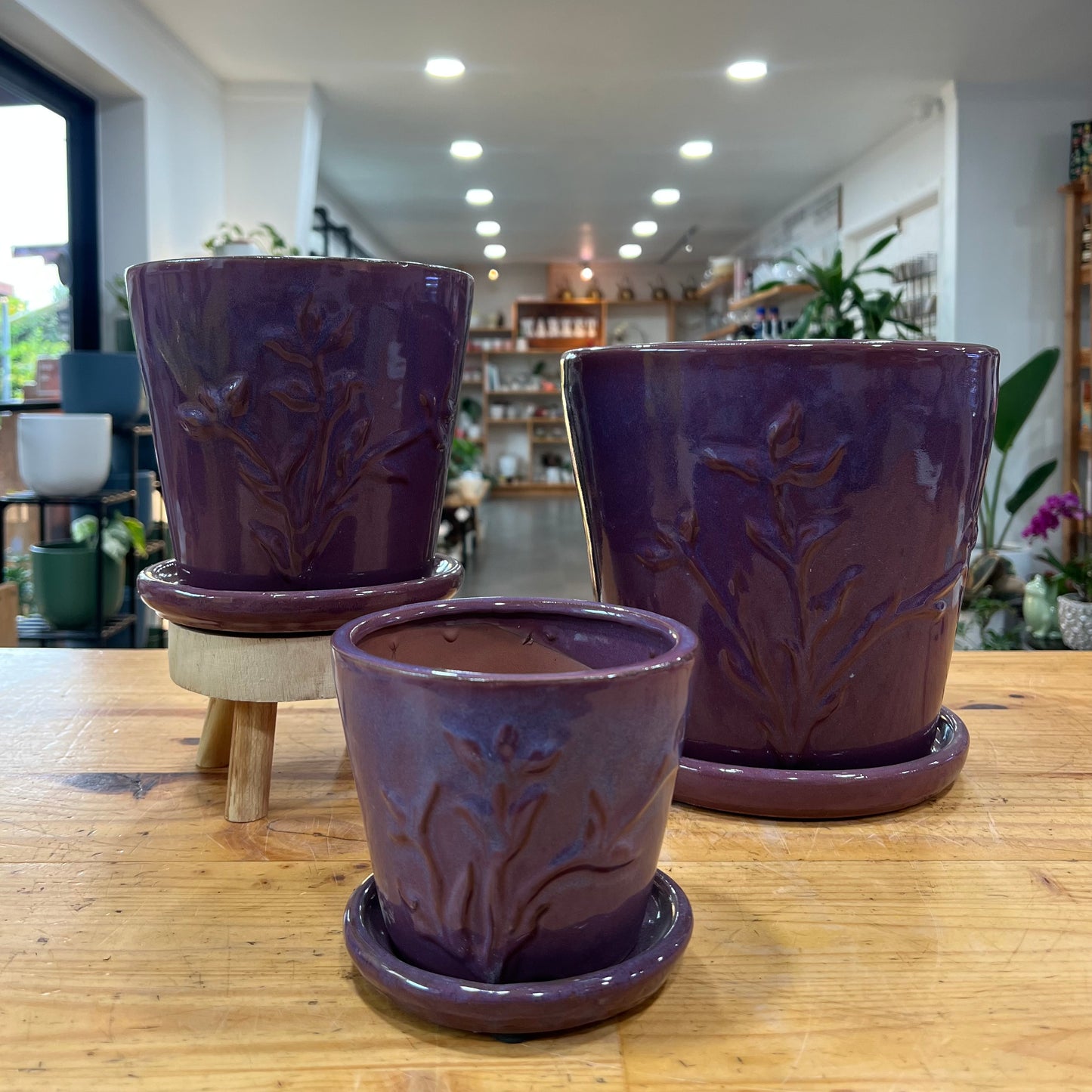 Francis Planter