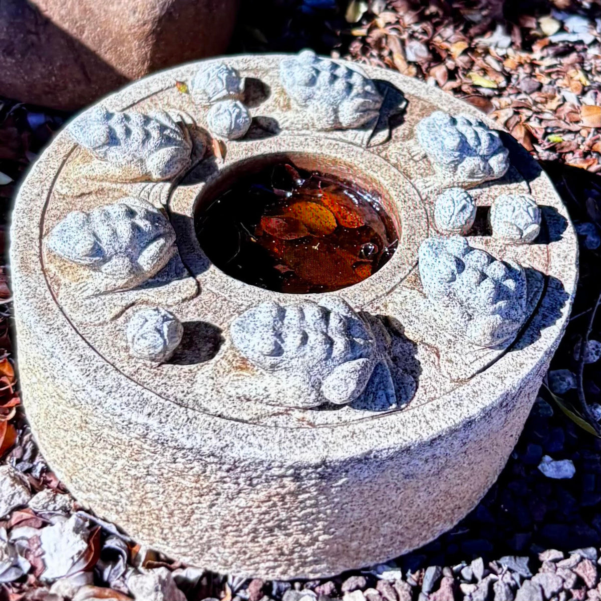 Frog Basin