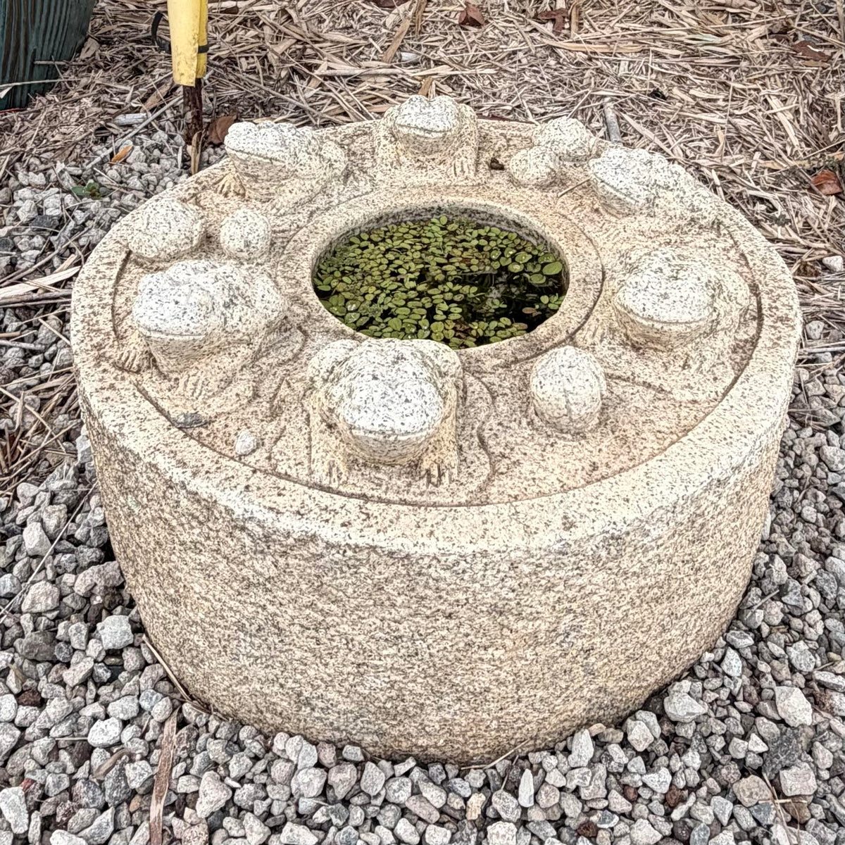 Frog Basin