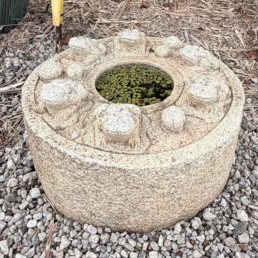 Frog Basin