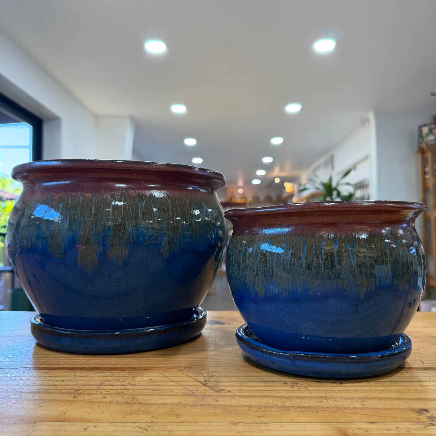 Fusion Fish Bowl Planters