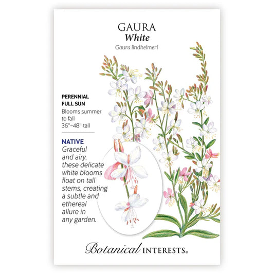Gaura seeds, "White"