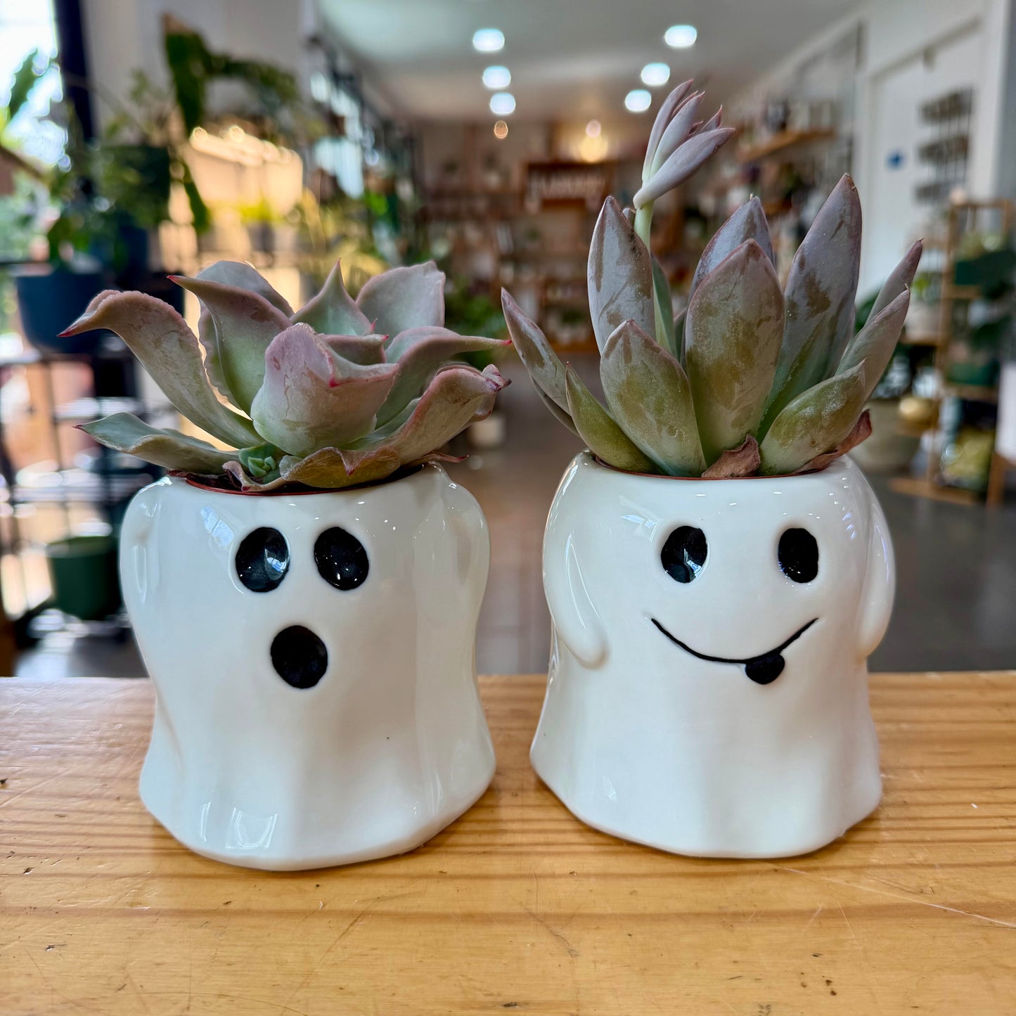 Halloween Planters