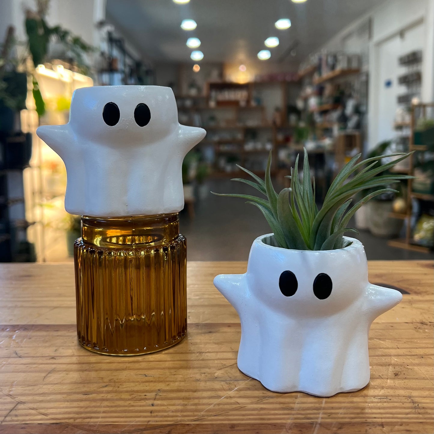 Halloween Planters