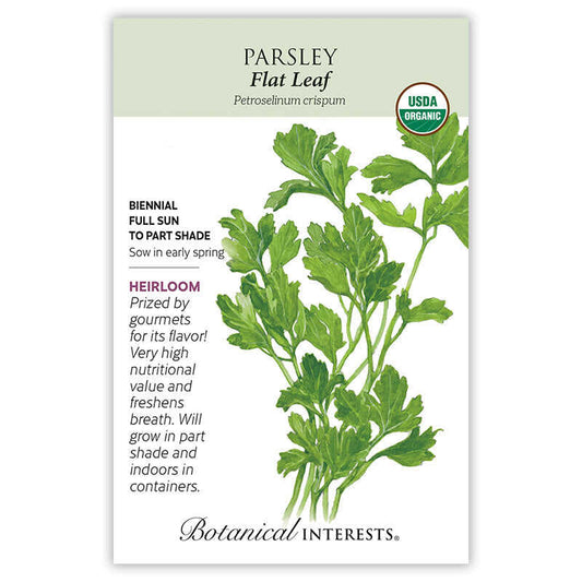 Parsley seeds 'Italian Giant'
