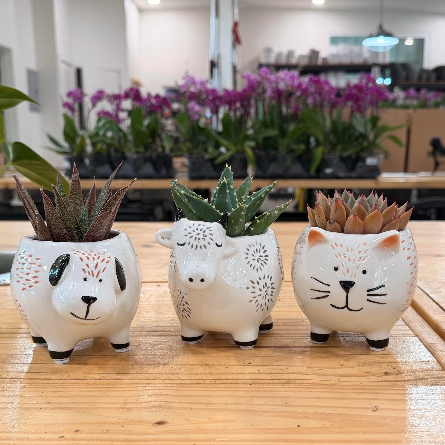 White Glazed Animal Planter
