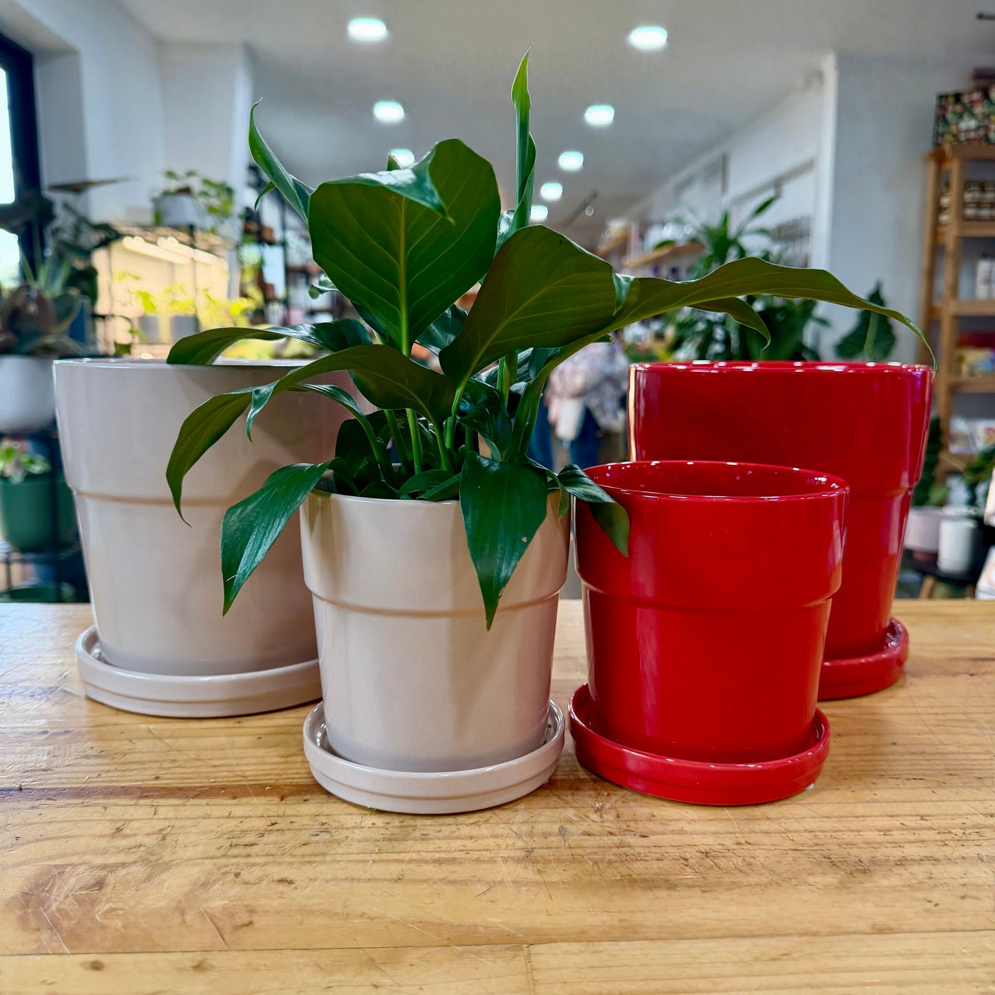 Floral Pot
