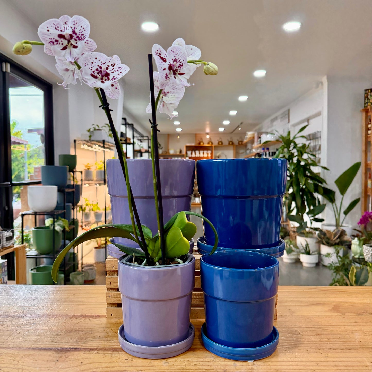 Floral Pot
