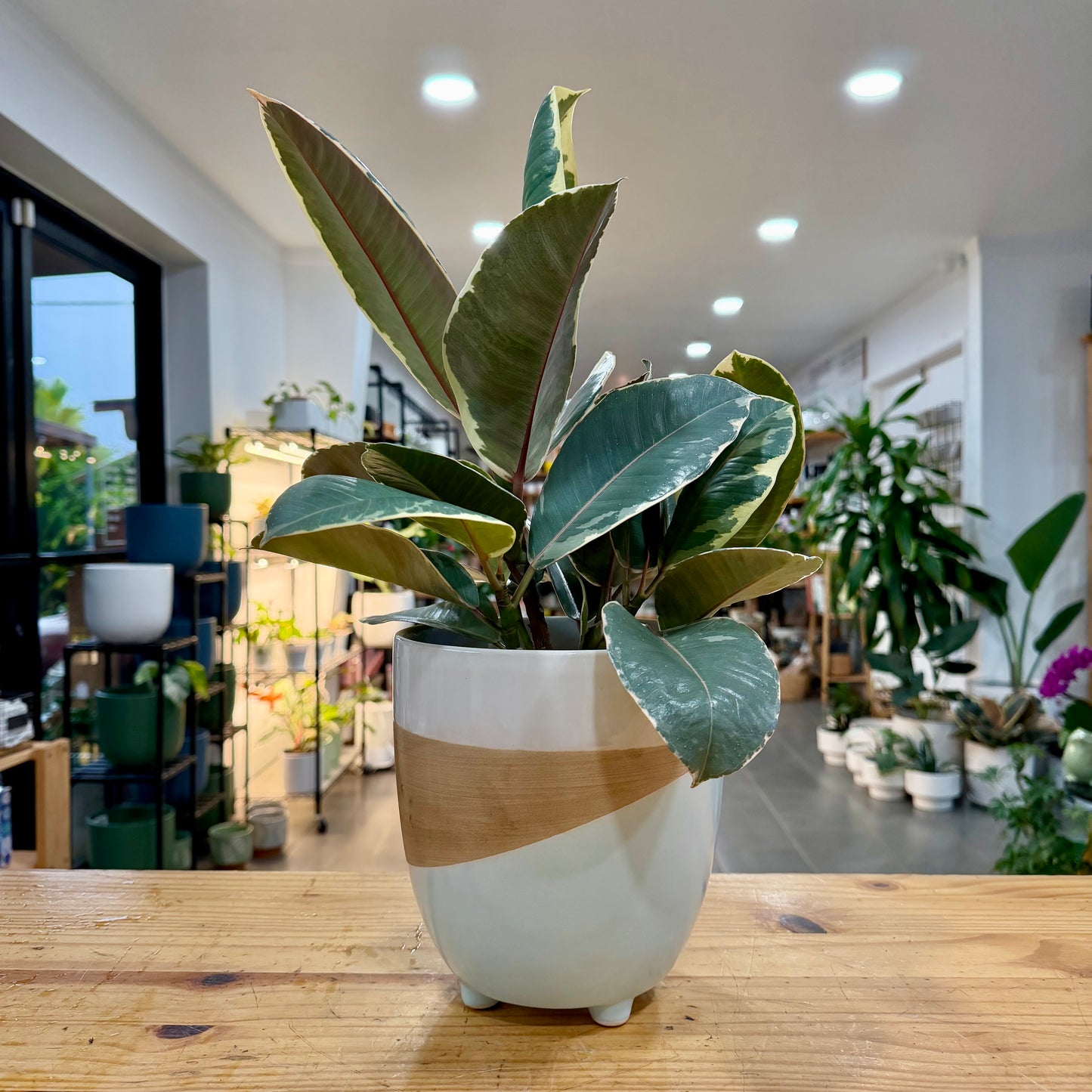 7" Gobi Planter