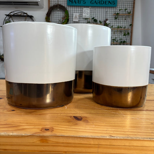 Ackerly Pots