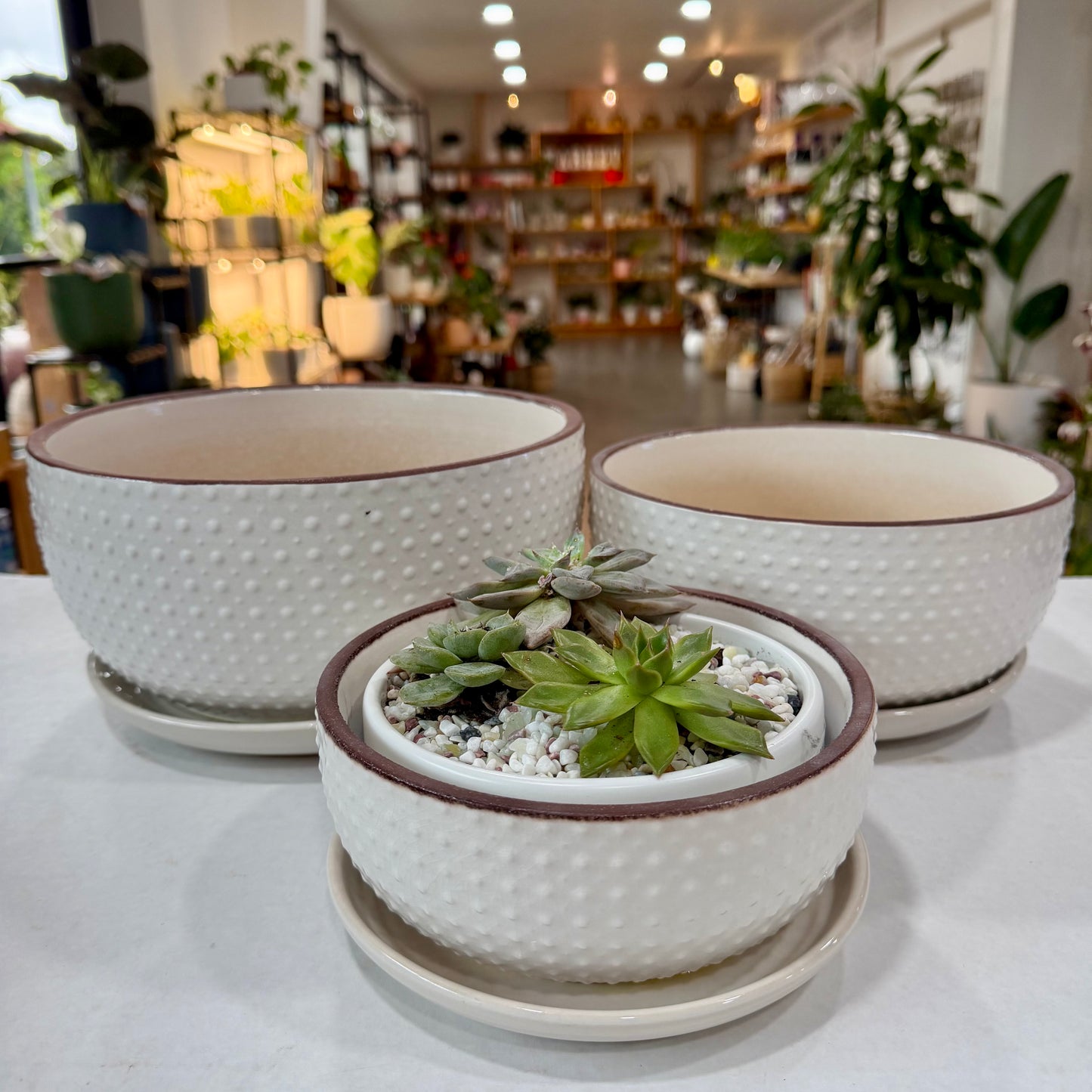 Cleburne Planters