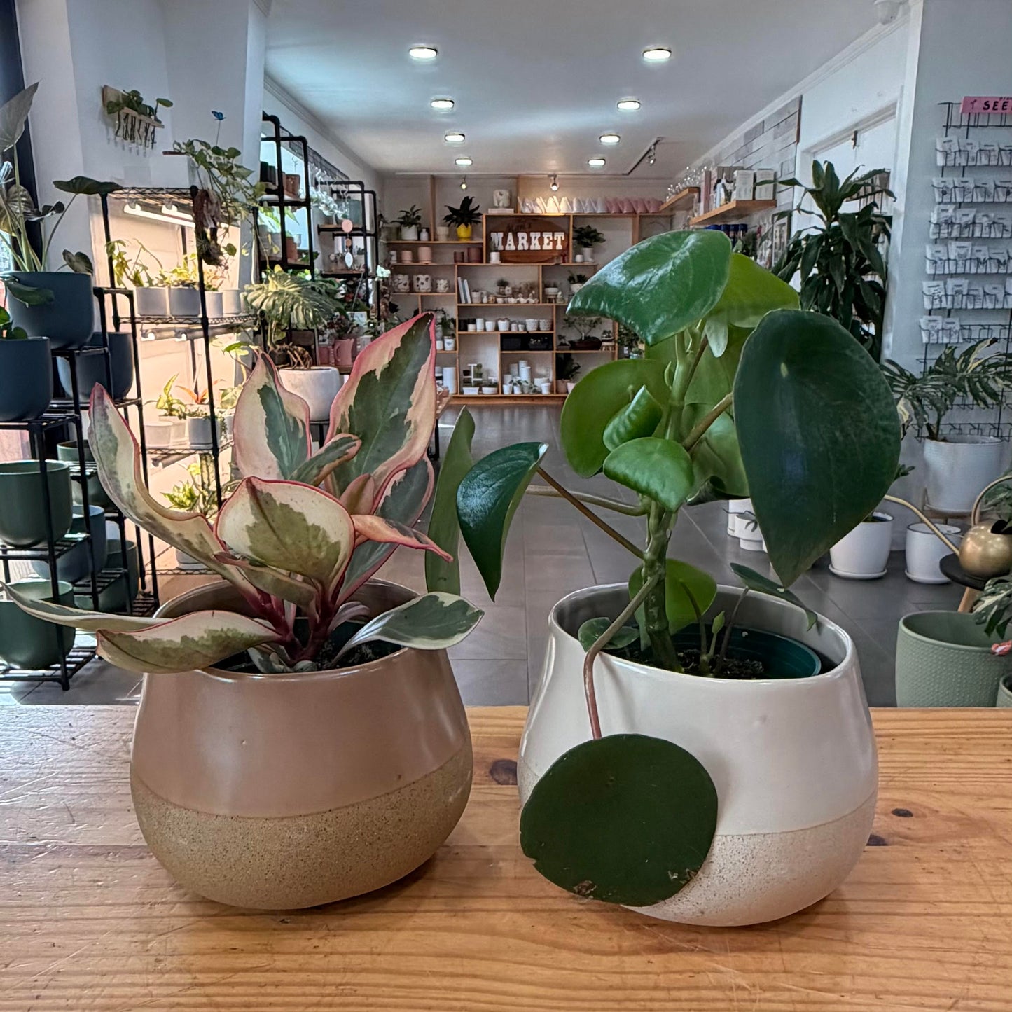 6" Gould Pot